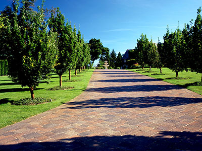 Landscape